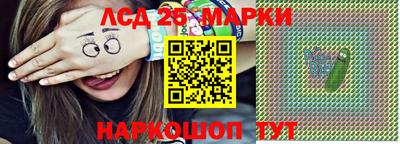 мдпв Бердск