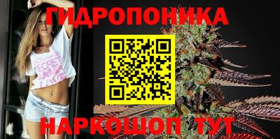 мдпв Бердск