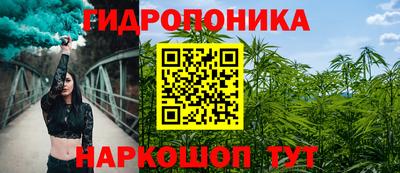 мдпв Бердск