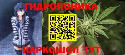 мдпв Бердск